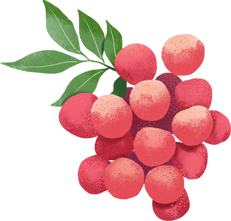 s.png (800ร765)-่ฑ็ฃ็ฝ