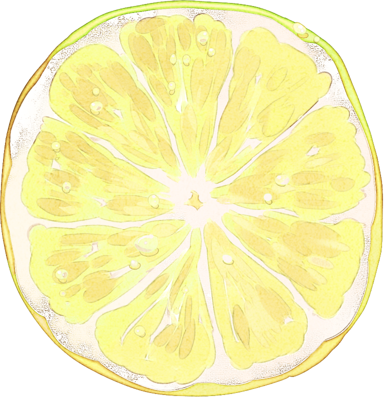 单个柠檬横切面写实插画